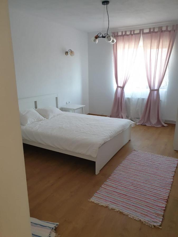 Casuta De La Munte Hotel Sfodea Buitenkant foto