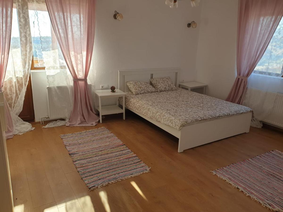 Casuta De La Munte Hotel Sfodea Buitenkant foto