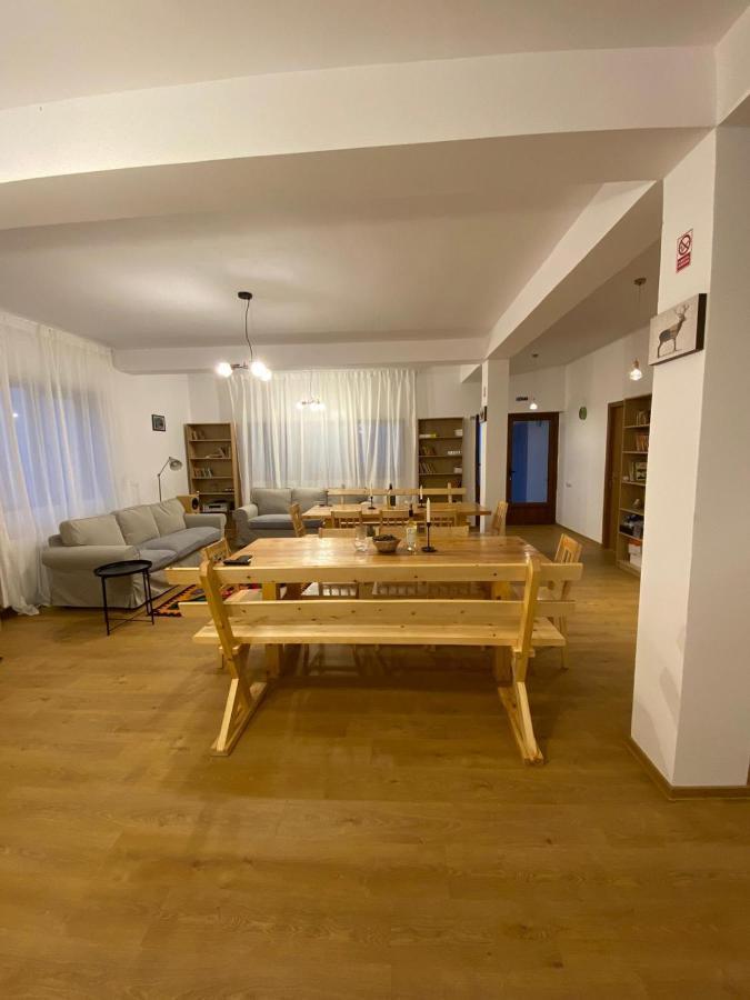 Casuta De La Munte Hotel Sfodea Buitenkant foto