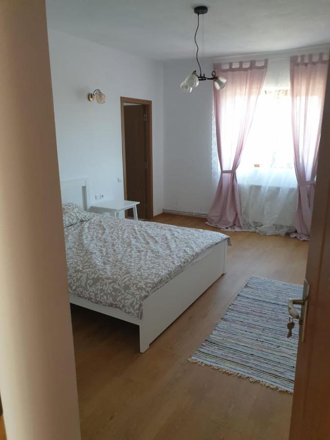 Casuta De La Munte Hotel Sfodea Buitenkant foto