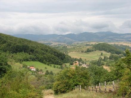 Casuta De La Munte Hotel Sfodea Buitenkant foto