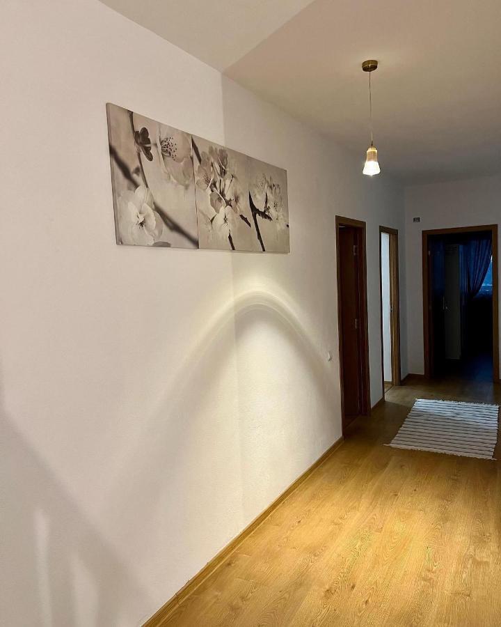 Casuta De La Munte Hotel Sfodea Buitenkant foto