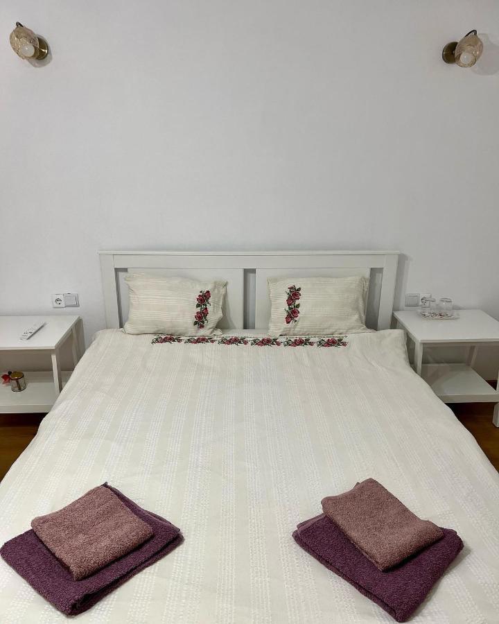 Casuta De La Munte Hotel Sfodea Buitenkant foto